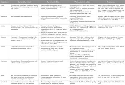 Exploring the multifaceted role of obesity in breast cancer progression